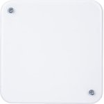 Коробка распределительная СП 100х100х45 IP30 Ruvinil 10160